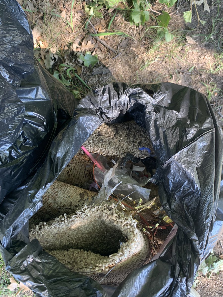YoungPeoplesCo1's tweet photo. Extremely successful park clean up at Wilson Park today! Best finds were lots of moldy carpet, snowboard, bike tires and the top of a shovel. Stay tuned for what we’re doing next week! https://t.co/5DzZEAsvwy