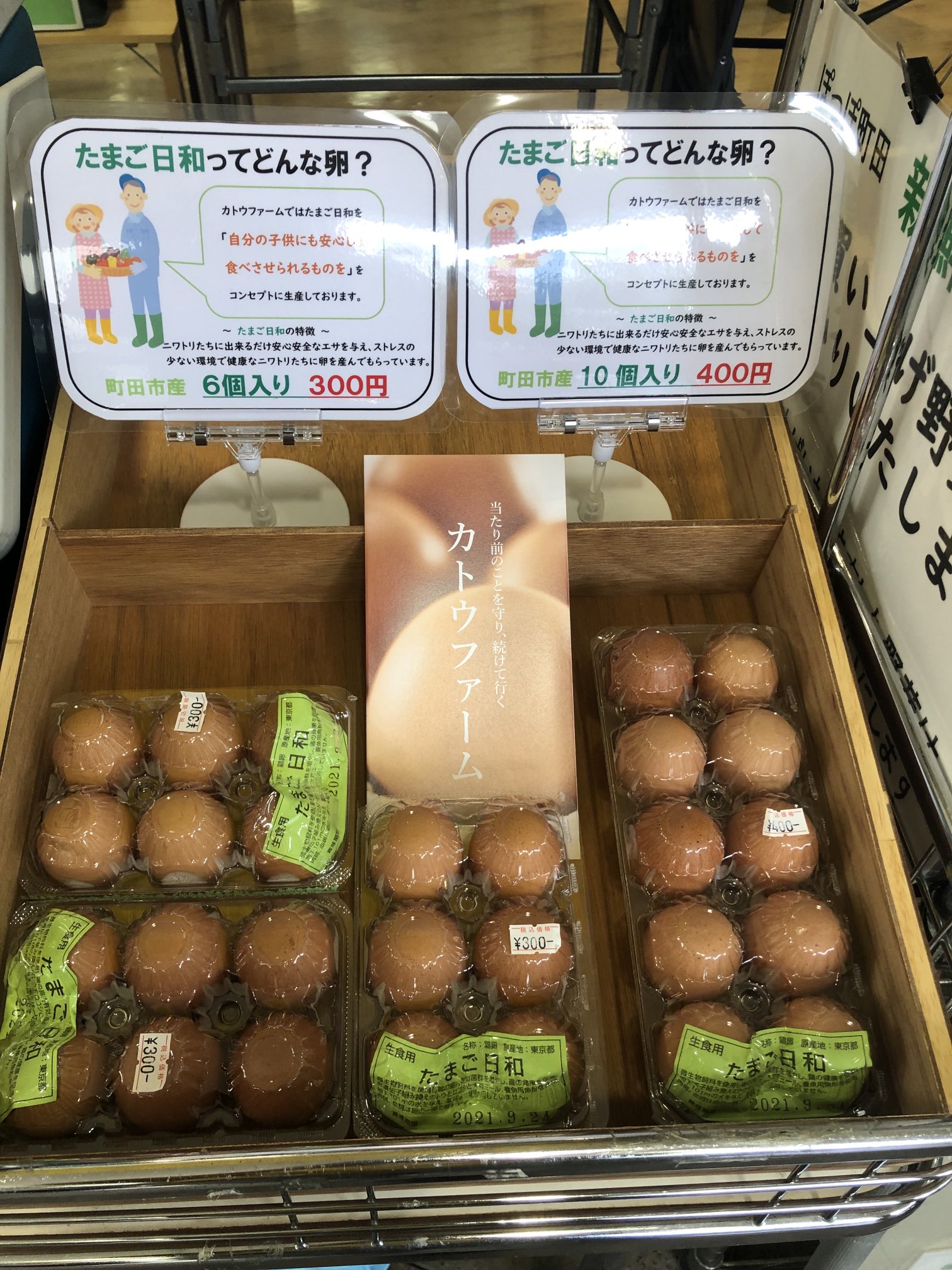 配送員設置送料無料 ふるさと納税 榛東村 岩田のおいしい卵厳選大玉50個 10個入り×5パック ふるさと納税 榛東村 岩田のおいしい卵 実用中玉60個 (10個入り×6パック)