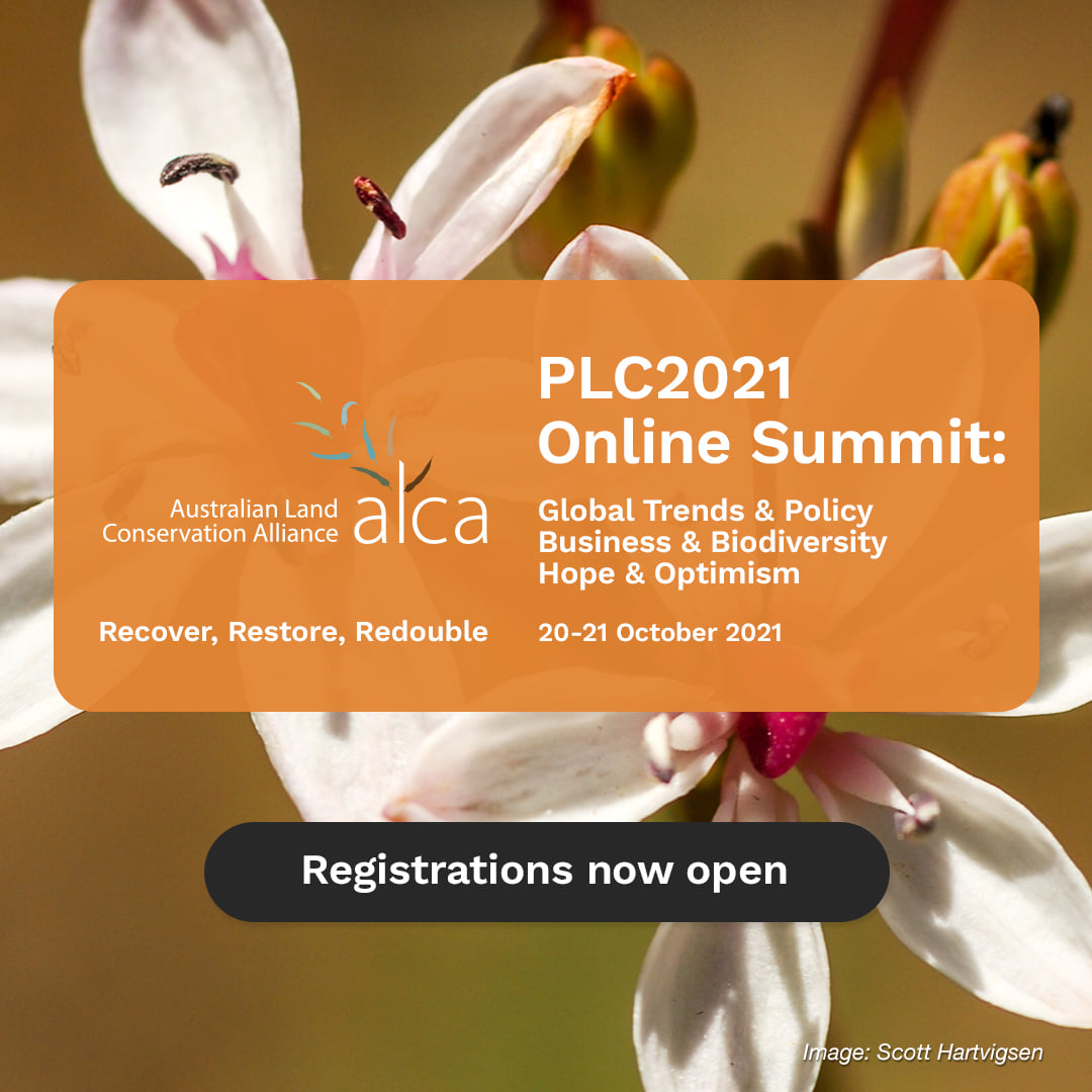 awconservancy's tweet photo. ⏰ Registrations are open for the Australian Land Conservation Alliance 2021 Online Summit, 20-21 Oct.
👉https://t.co/FhJACimPMz
With a line-up of insightful speakers and an engaging program, this virtual event will run from 12pm-3pm each day and is not to be missed! #ALCAPLC https://t.co/FQvN2ZZmYW