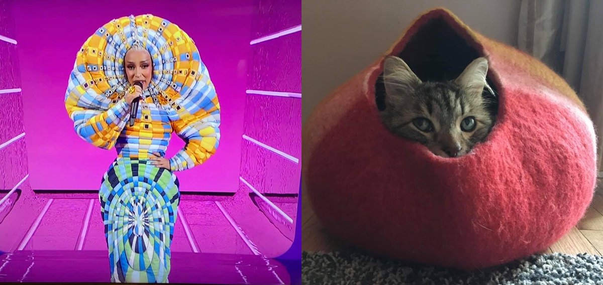 Left: Doja Cat
Right: Mr. Puddles, my cat
#VMAs #MTVVMAs #MTVVideoMusicAwards #VMAs2021 #DojaCat #CatsOfTwitter