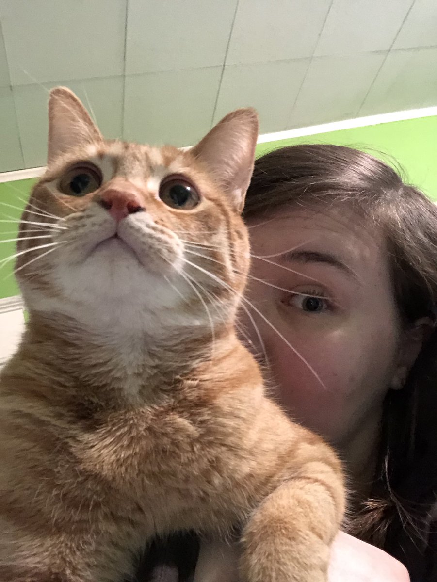 NotAnInbred's tweet photo. lazlo mommy @JulietteElton https://t.co/31ihrEnpBC