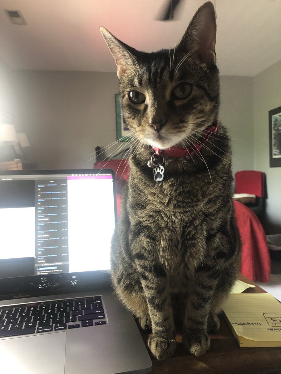 Bob Loblaw tweet media