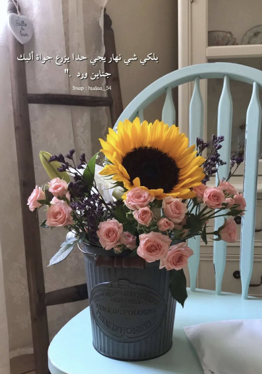 f_otnah's tweet photo. ..🌿🕊

"نحنُ لبعضنا أرزاق"  اللهم سخرلي من الناس
 أخيرهم و أطيبهم و أنقاهم ، وسخر لي الارض
 و من عليها و من الأقدار أجملها يارب.♥️🌿 https://t.co/wXiuMYjwSU
