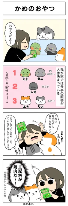 「かめのおやつ」
(はる蔵さんの「ふうらい日和」第16回)

2本目はここで読める!🐢🐈⇒https://t.co/n57Po1C2hp 