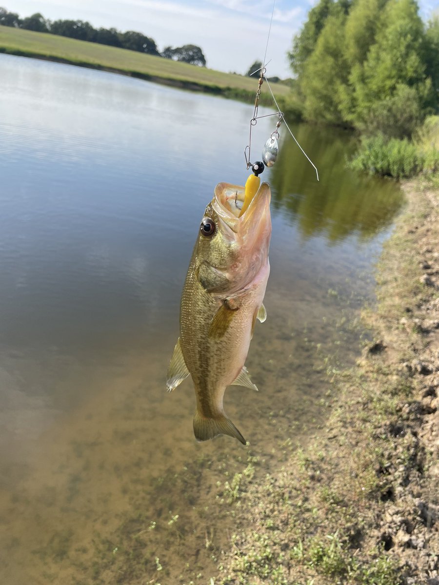 JoeyJw06's tweet image. Always gonna be a good day when you’re fishin with the boys