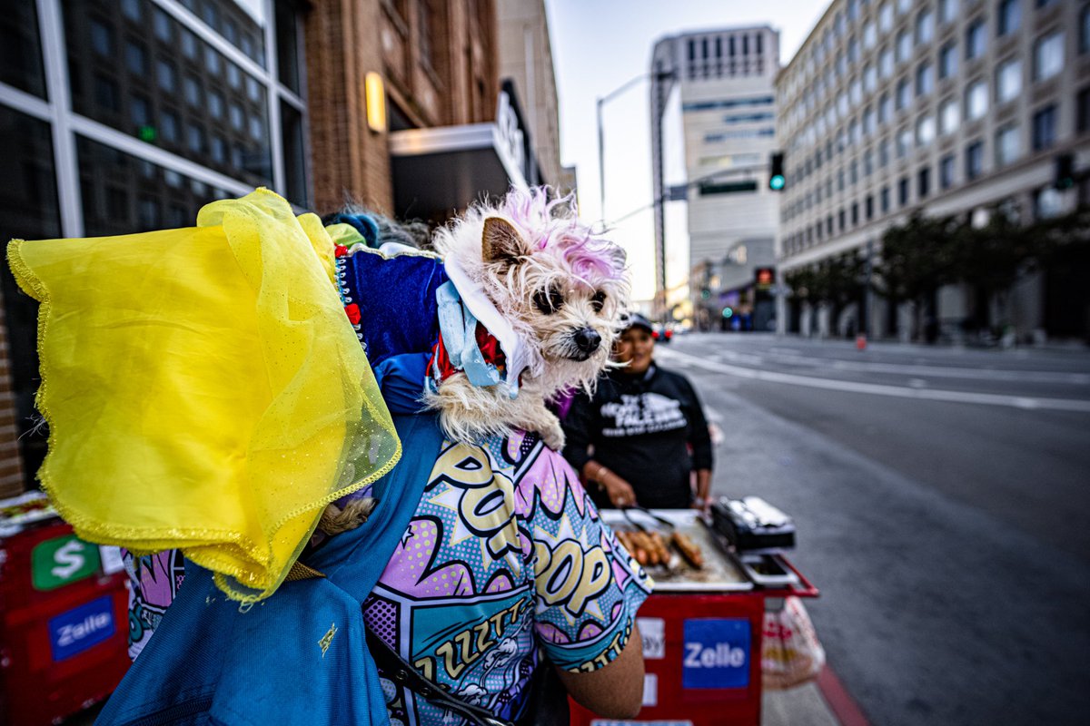 NorCal_Stringer's tweet image. Pics from the #HowWeirdStreetFaire today in #SanFrancisco