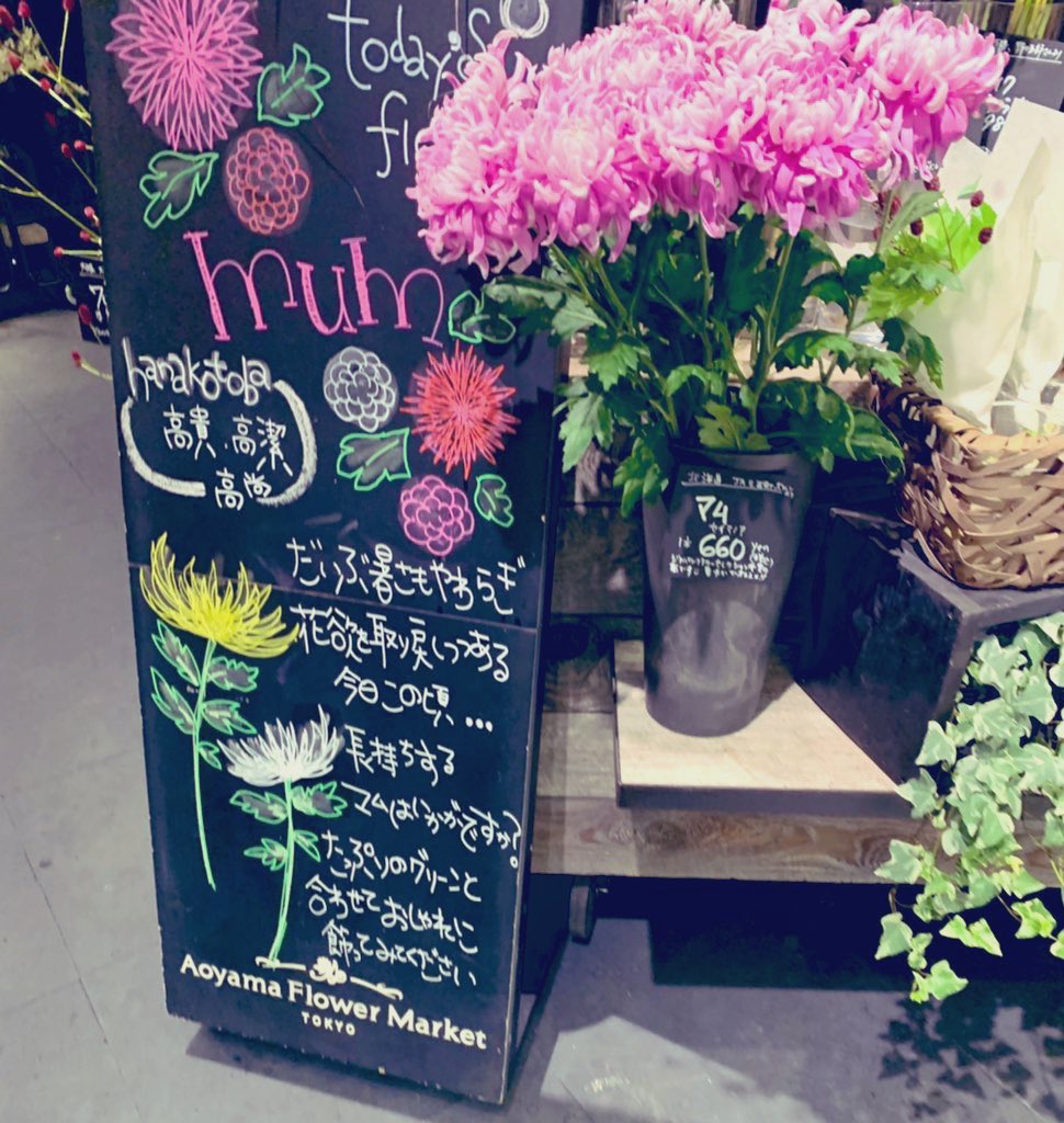 ビバーナムの実