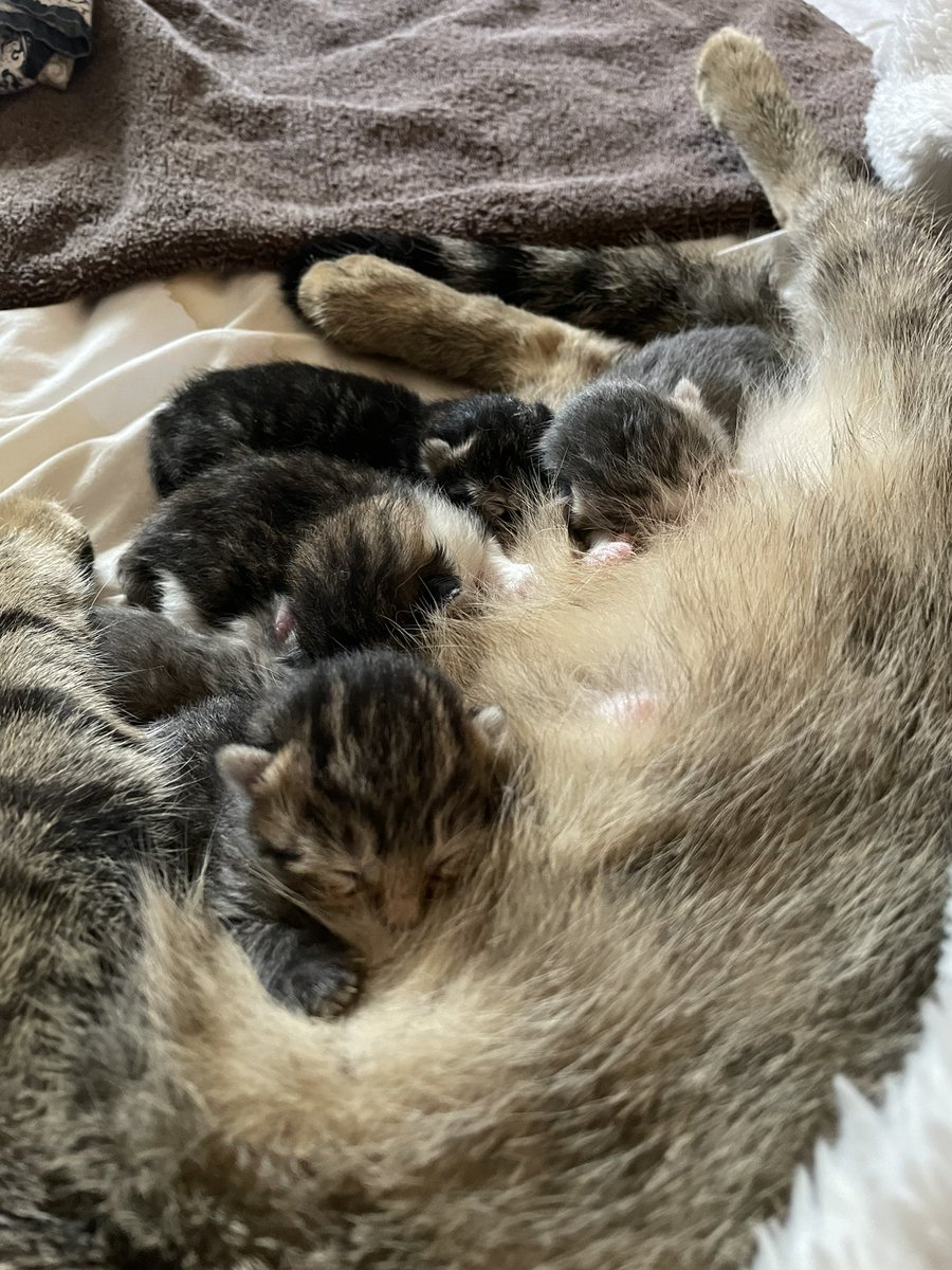 We apologize for not being able to host tours with you today. We had a delightful family emergency.