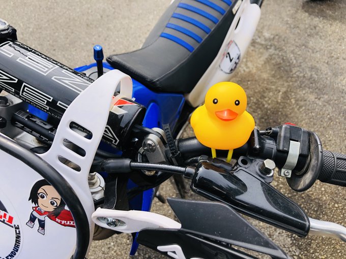 アヒル隊長 ヘルメットはどこに売ってる 取扱店はココ アレどこ