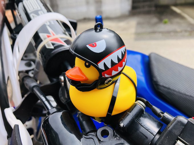 アヒル隊長 ヘルメットはどこに売ってる 取扱店はココ アレどこ