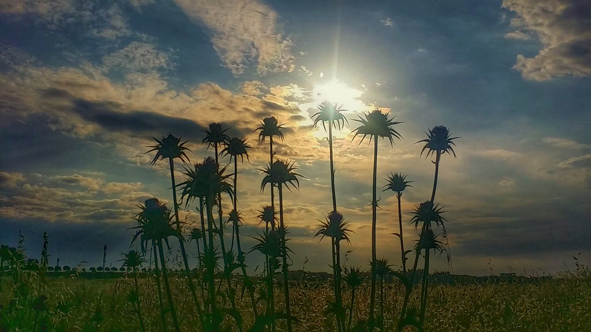 Una #fotografía, si no se muestra y se comparte, se queda como mustia. 

Sé que hay miles de fotógrafos desconocidos por ahí.

¿Eres tú uno de ellos?

Comparte tu #foto con el hashtag #hacerfotos. 

Si resultas seleccionado, serás citado en la cuenta 
<a href="/hacerfotos/">Antonio (@hacerfotos)</a>