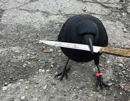 a___bird's tweet photo. https://t.co/Kg2pTizSxc