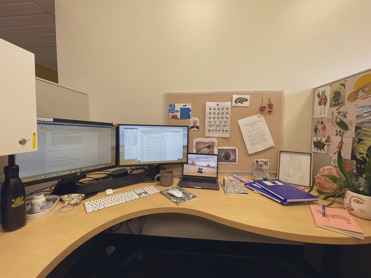 My office desk 👩‍💻
 
But can you tell what I study? 😅

Share your office or workspace for #SciCommSeptember and I’ll guess what you study! 

#PhD #phdvoice #scicomm #WomenInSTEM