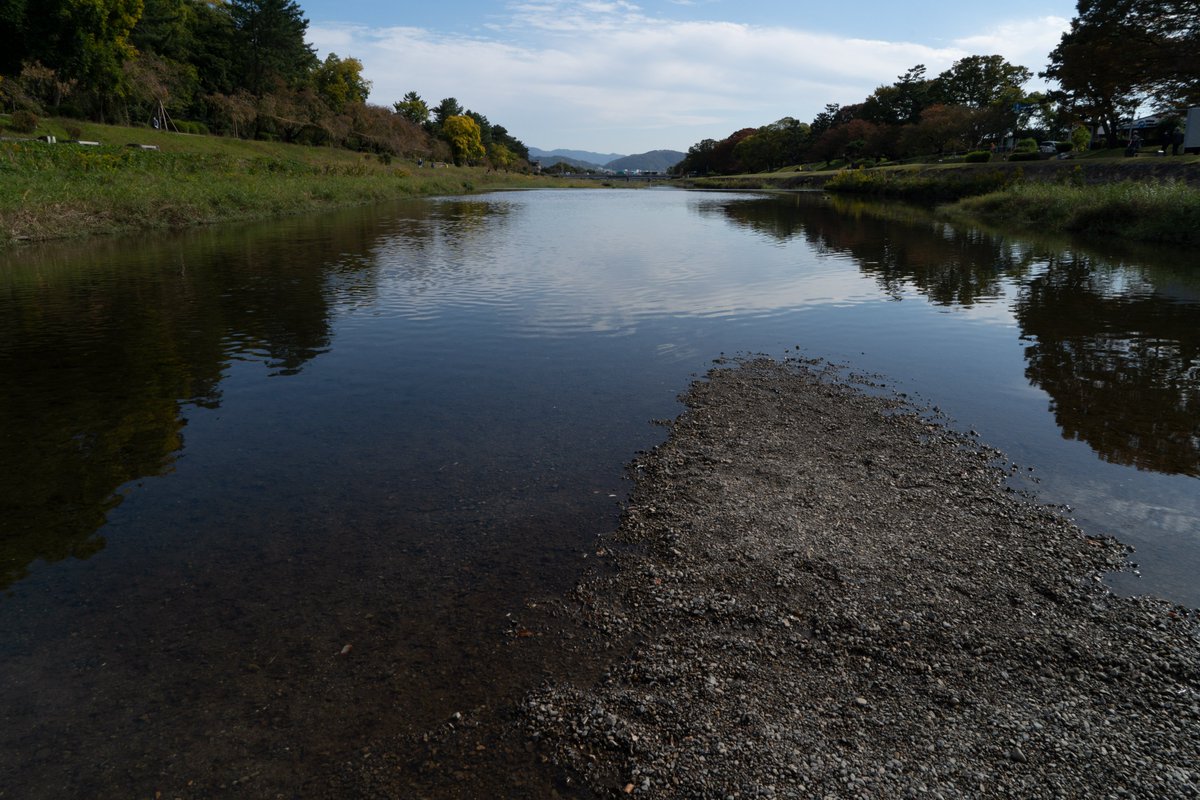 映画 ミュジコフィリア 公式 Musicophilia 21 Twitter