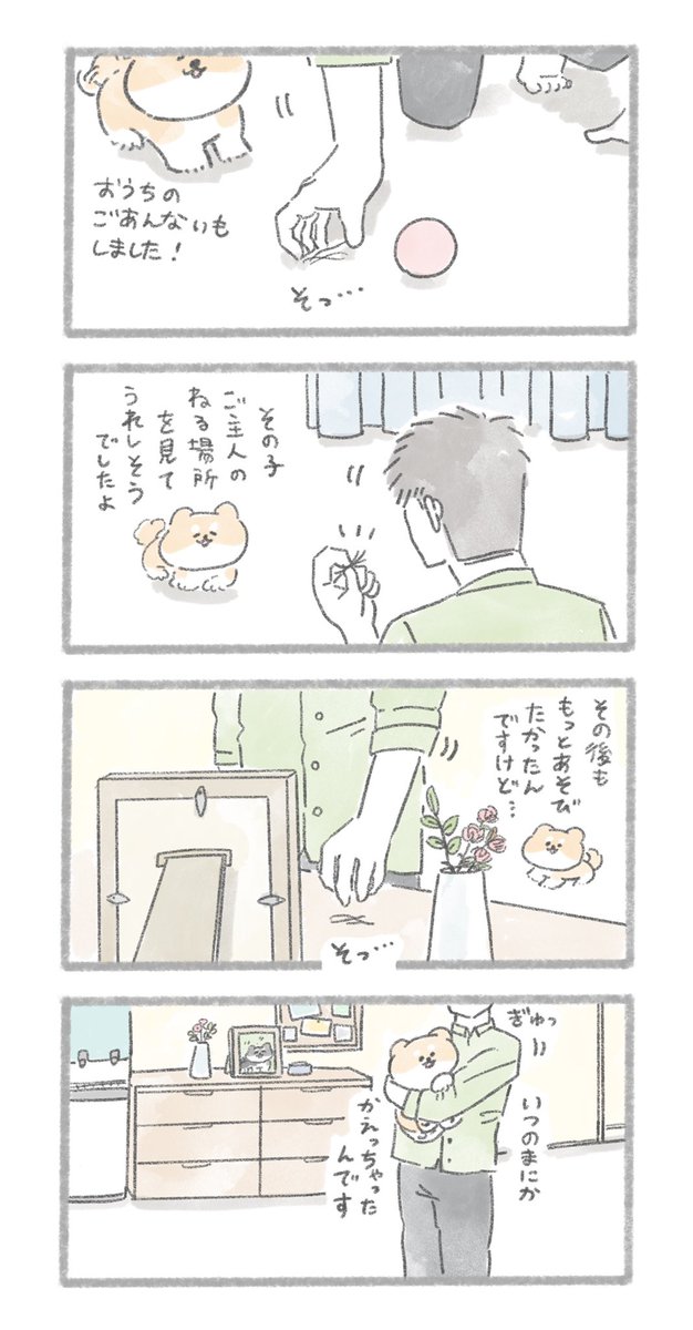 ふしぎな昼下がり④
#こんにちはいぬです 