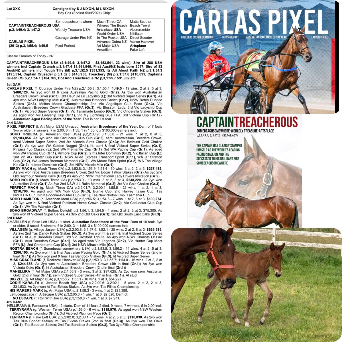NIXON BLOODSTOCK tweet media