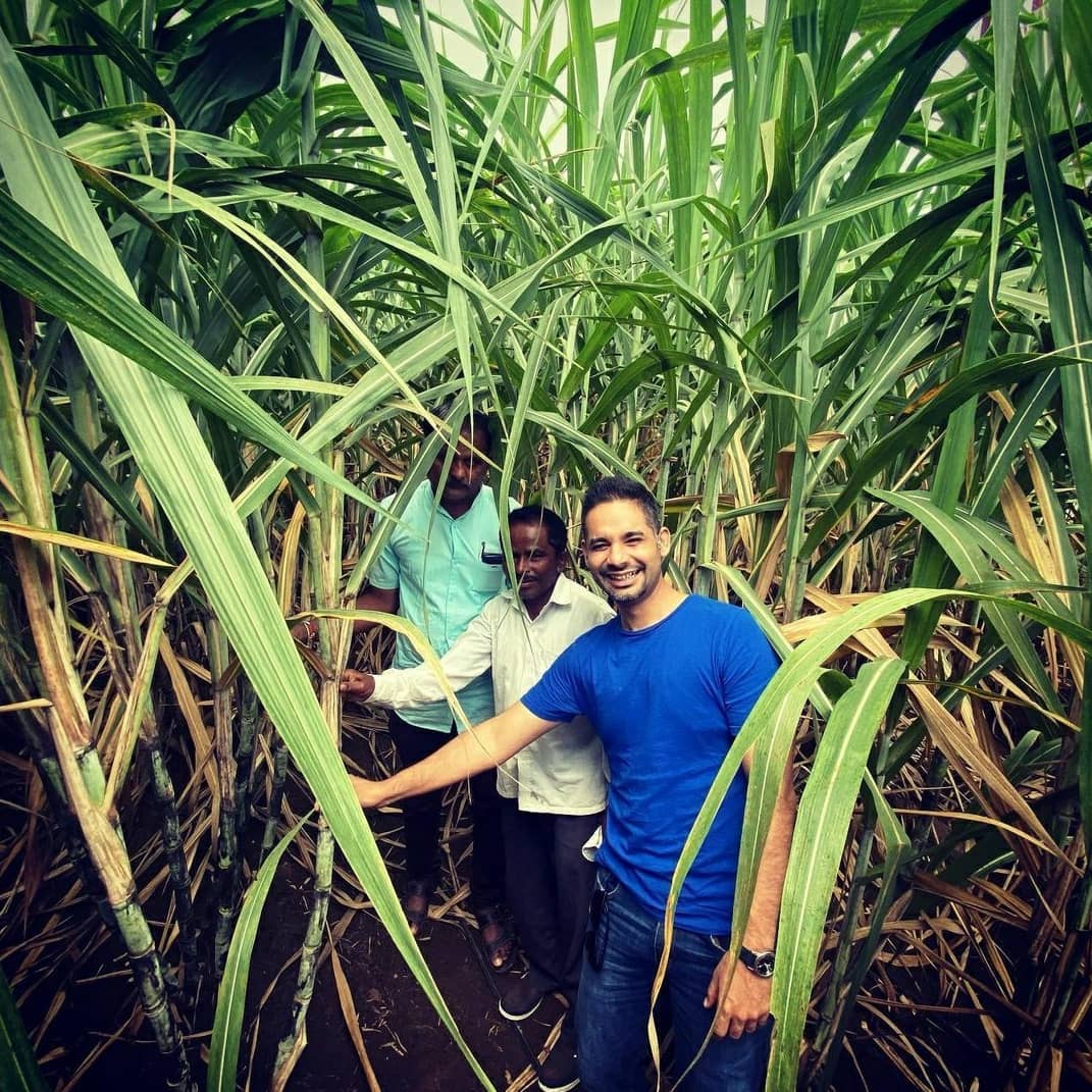 vnvadvisory's tweet photo. Shifting sugarcane farming towards organic practices.

#climateaction4communities #climatechange #organicfarming #organicsugarcane #farmersofindia https://t.co/6ulecWhHeD