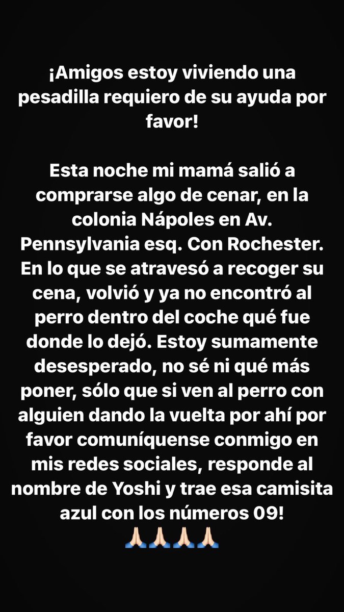 rubenpla's tweet photo. Ayuda por favor se robaron a mi perro YOSHI en la Colonia Nápoles. 

RT por favor! 🙏🏻🙏🏻🙏🏻🙏🏻 https://t.co/eS3gmOBHTm