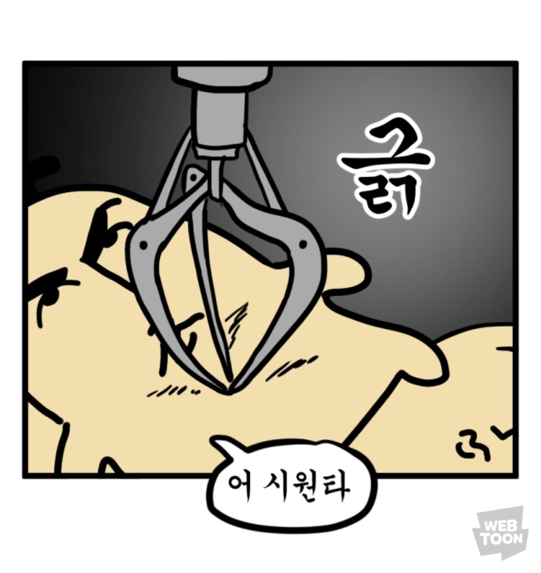 파인 (@pine_vv) on Twitter photo 