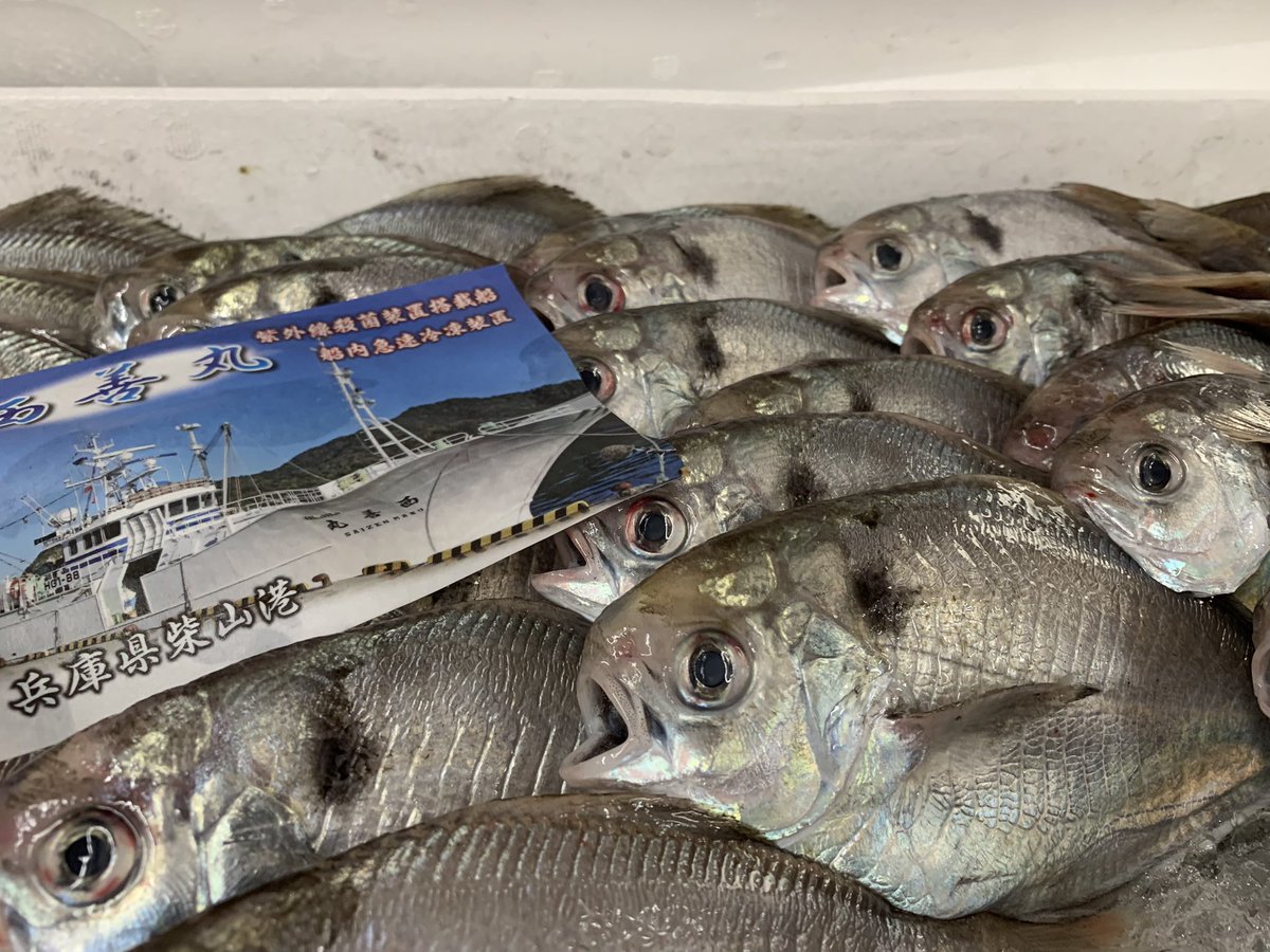 うおぜ hashtag on Twitter