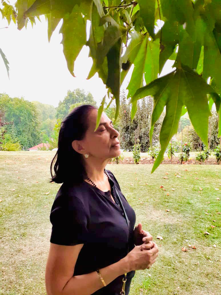 BawaHemi's tweet photo. In Persian, Chinar means “what a fire” and thus, the name perfectly suits the tree, for in November the Chinar trees appear to be on fire. Shedding its leaves once a year, this tree is majestic in every sense of the word. https://t.co/Sr0g77Hg7h