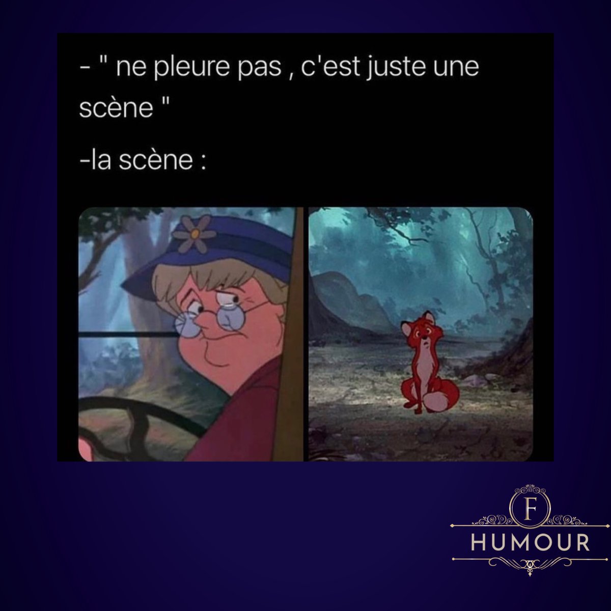 F - Humour tweet media