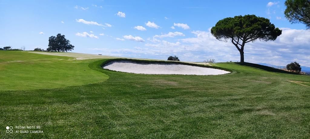 conorWalsh11's tweet photo. Buenos dias a todas! We were keen to start Monday with a little Spanish touch... ๐ช๐ธ
Real Club Puerta Di Hierroโs playability = greatly improved โ
#CJWGolf #MondayInspiration #ShapingTheFuture #GolfCourseShaping #Experts #UkAndEurope https://t.co/usYPozGjoS