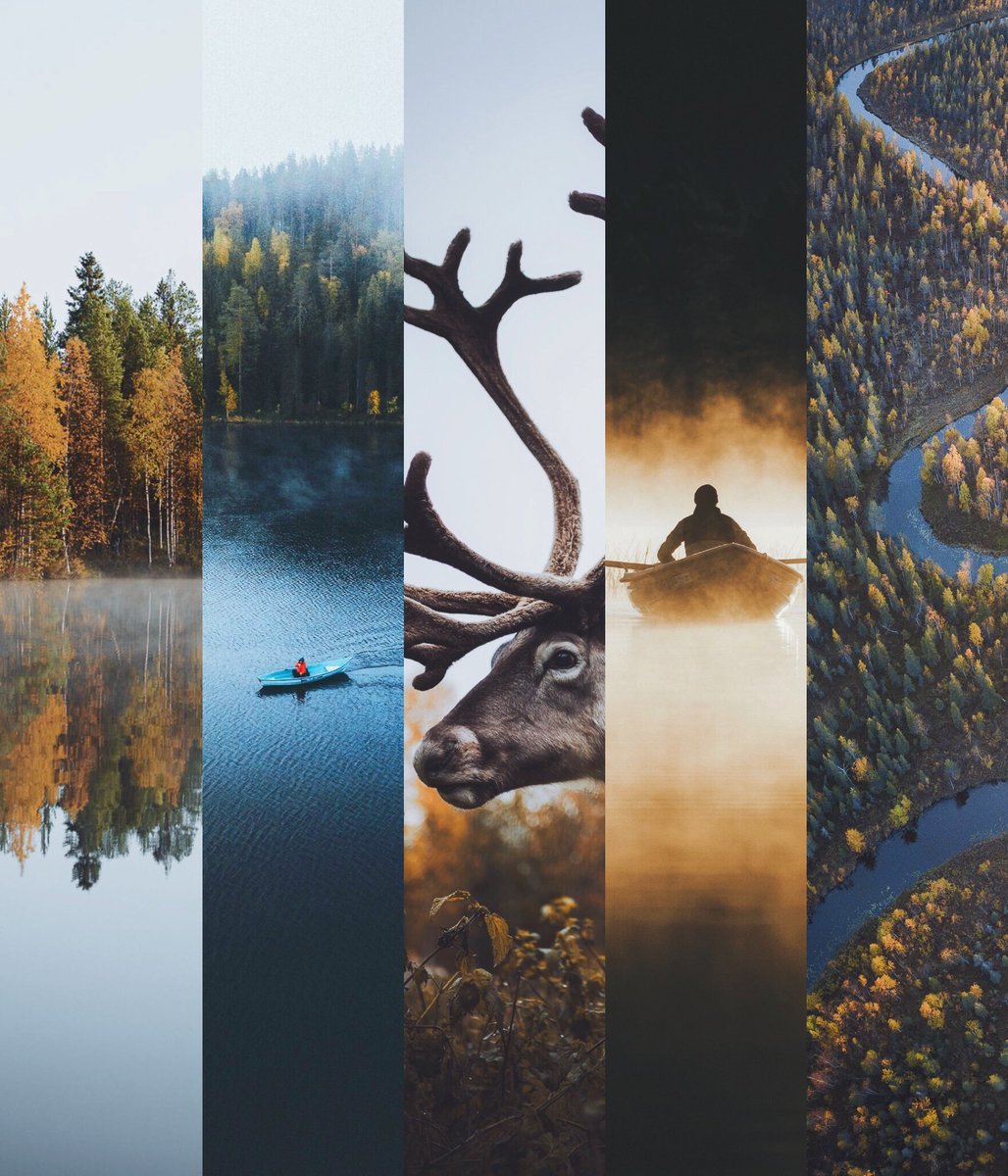 Slices of fall 🍂 🇫🇮