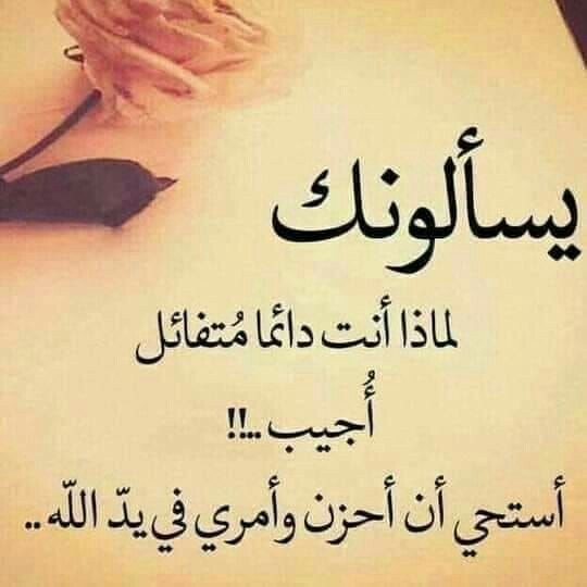 Kamil Sha sha (@kamilshasha1) on Twitter photo 