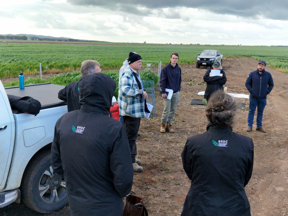 MidNorthHRZ's tweet photo. Welcome panel members and trustees @GRDCSouth @SAGrainTrust to the MNHRZ
#FrostLearningCentre
#frost #grains #research #HighRainfallZone https://t.co/js2SpJh3GN