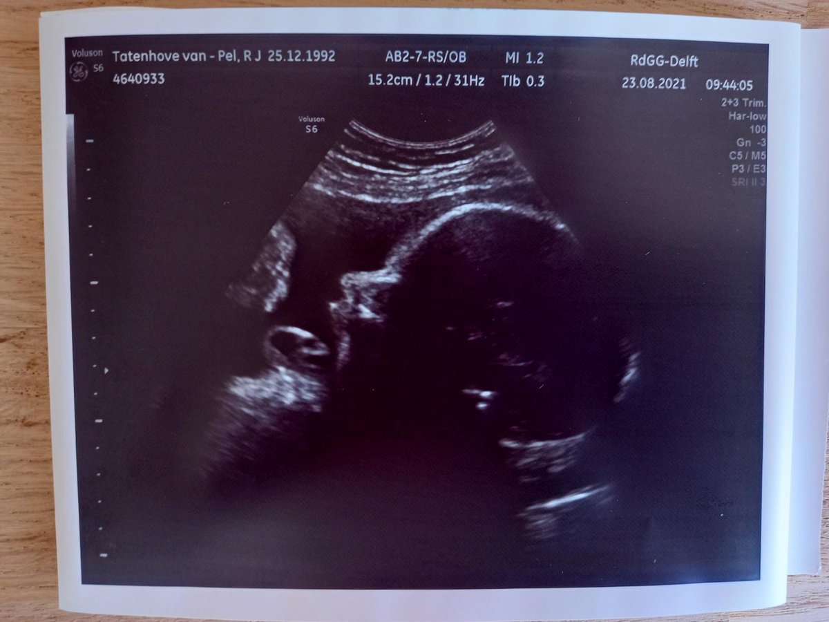 A last week of finishing up. From next week on, I will be offline to focus on welcoming this little boy🥰 See you back here in January!