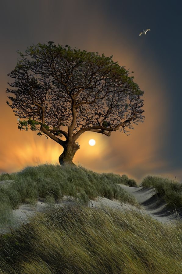 Sunrise  for a new beautiful  day.