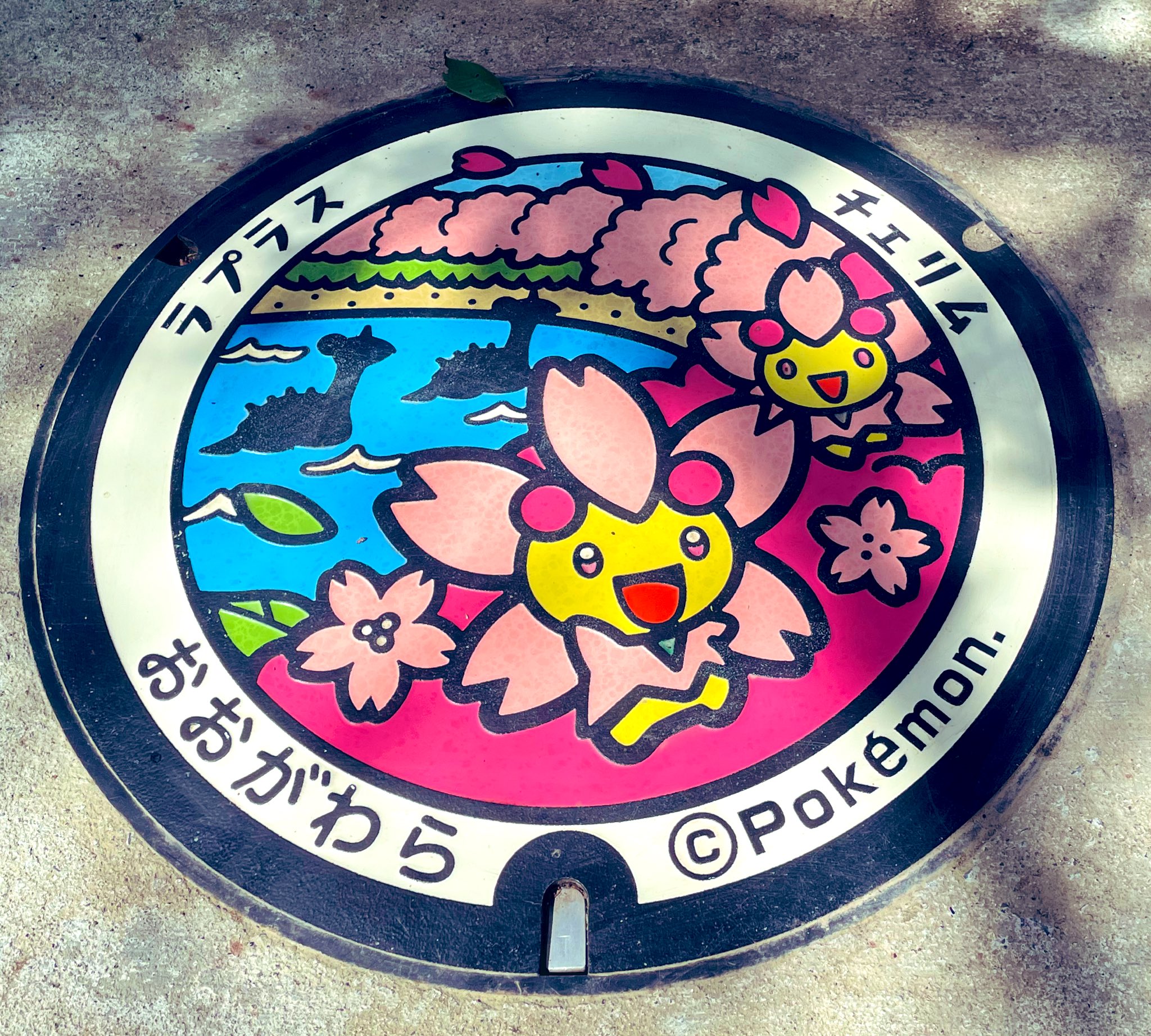 白石川公園 Twitter Search Twitter