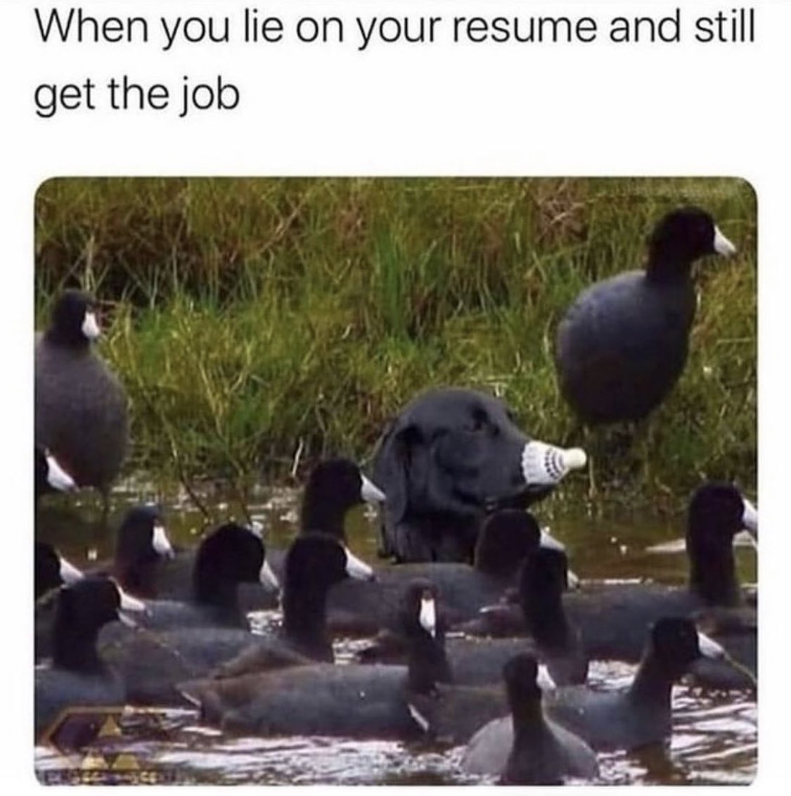 Thomas Lévy-Lasne (@thomaslevylasne) on Twitter photo 