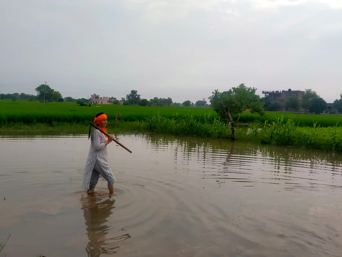 हर दिन किसान आन्दोलन में युवा साथियों की भागीदारी बढती जा रही है,लोग सरकार की तानाशाही और लठतंत्र को देखकर किसानों के साथ खङे हो रहे हैं,जो भी रोटी खाता है,उसको हुक्मरानों की इस गुण्डागर्दी के खिलाफ खड़े होना चाहिये।
किसान देश बचाने निकले हैं।
#FarmersProtest_StandsStrong