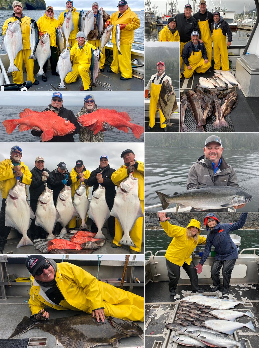 9-12-21: Shortrakers were a surprise September catch! #sitka #salmon #fish #fishing #lingcod #rockfish #shortrakers #silversalmon #cohosalmon #fishinginsitka #fishinginalaska #sitkafishing #alaskafishing #wildstrawberrylodge #alaskapremiercharters #saltwaterfishing #visitsitka
