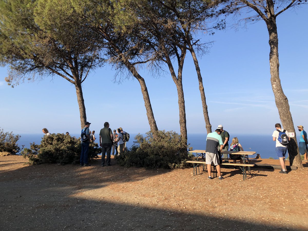 SNazzareni's tweet image. Tourmaline meeting post-conference #fieldexcursion just started!! #tourmaline #minerals #crystal #geology #Mining @soc_min_pet #elbaisland #geologia