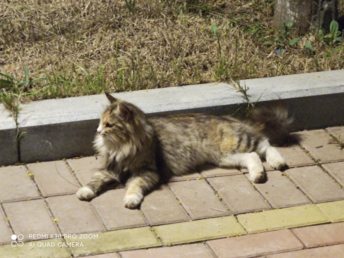 WLMEG's tweet image. hmmmmmmm