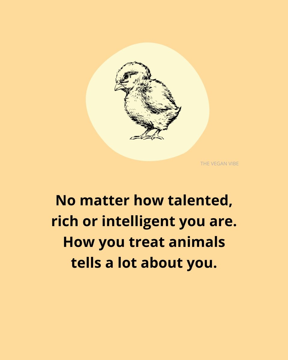 Heart it up if you believe this too ♥️ #theveganvibe #vegan #vegans #veganism #animalrights #veganfood #veganquotes #veganmemes #veganapparel