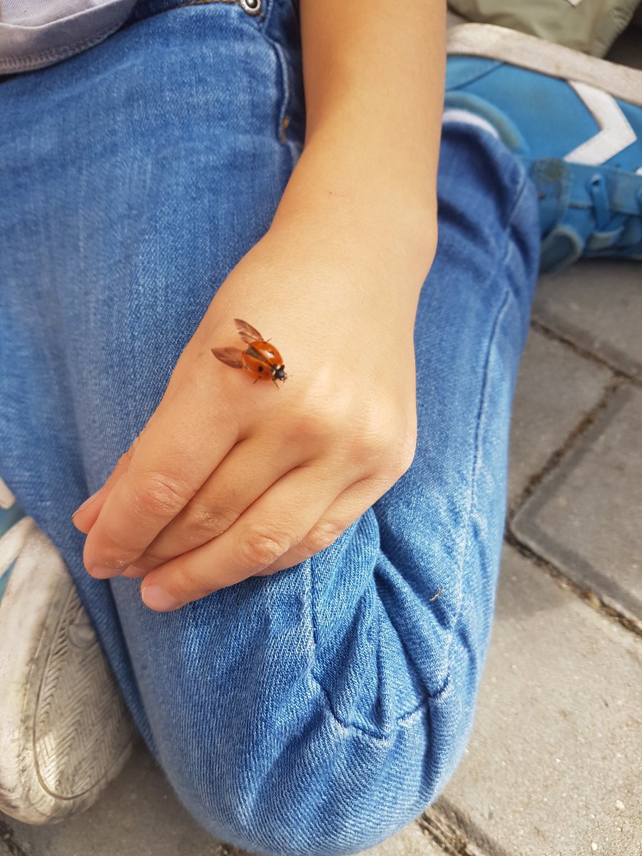 WindsorIan's tweet photo. Exploring nature on the playground. https://t.co/cMHp6r6Ju0