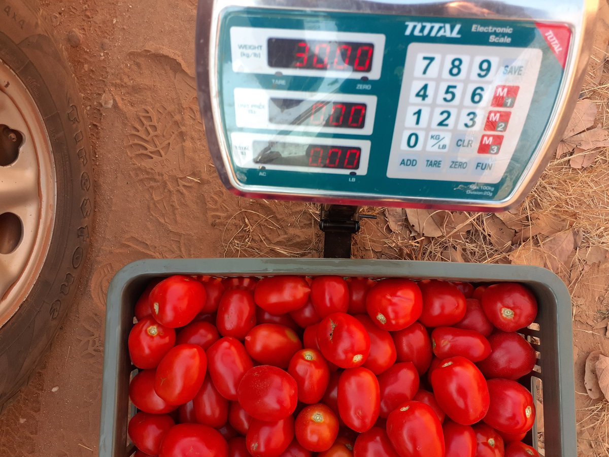 Tirivanhu Farm & Ranch tweet media