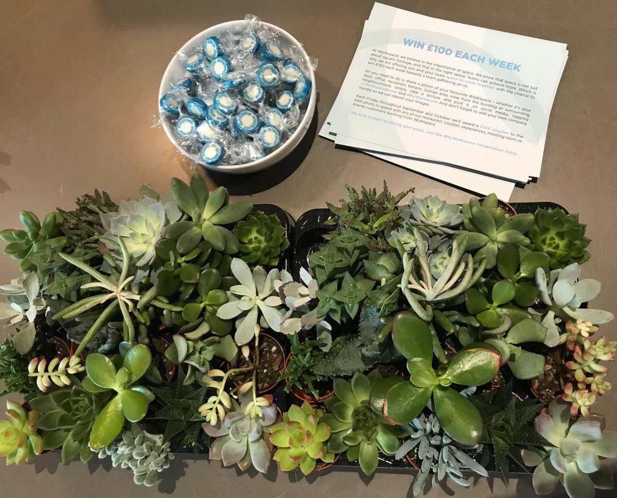 Sweets 🍭🍬 and mini plants 🪴 🌱 at reception this morning! Along with the chance to win £100 ☺️HAPPY MONDAY☺️