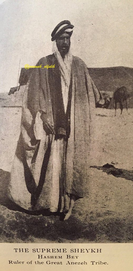 راع البويضا tweet media