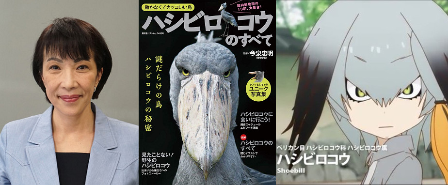 mikioba_obaba ハシビロコウっぽく整形してると思います こうやって