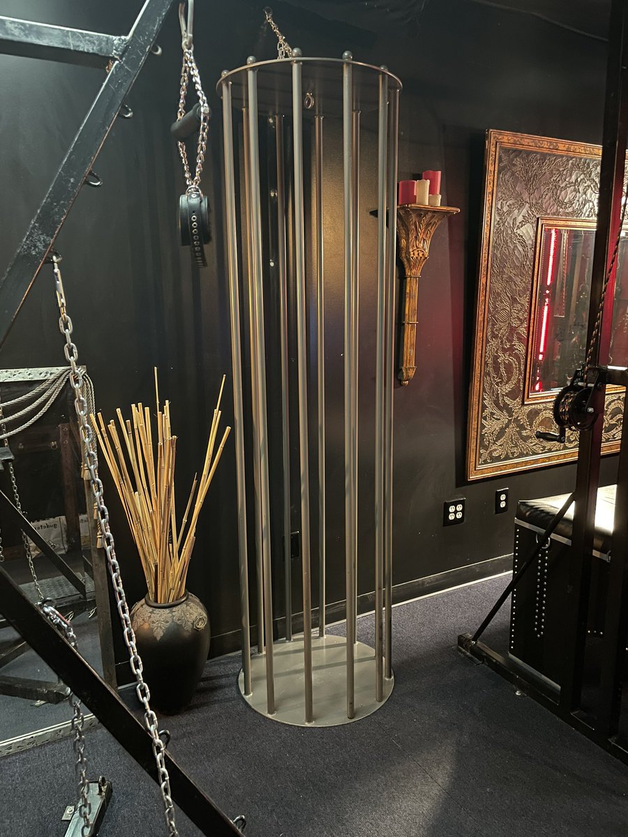 midnightmanorsd's tweet photo. We @midnightmanorsd are so happy to have given this beautiful cage a new home! Thank you @gwenmedia 🖤🖤🖤 https://t.co/CrPN8IZg5x