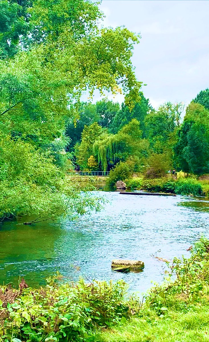 Keri (@kerimankayayah1) on Twitter photo Wonderful weekend from Bakewell #weekend #HappyHumpDay #SundayFunday <a href="/Sheff_HousingCo/">SheffieldHousingCo</a> <a href="/doristhehat/">doristhehat</a> <a href="/vpdd/">Visit Peak District & Derbyshire</a> <a href="/D_Times/">Derbyshire Times</a> <a href="/doristhehat/">doristhehat</a> <a href="/CazCutts1/">Caz Cutts 💙</a> Wonderful weekend from Bakewell #weekend #HappyHumpDay #SundayFunday <a href="/Sheff_HousingCo/">SheffieldHousingCo</a> <a href="/doristhehat/">doristhehat</a> <a href="/vpdd/">Visit Peak District & Derbyshire</a> <a href="/D_Times/">Derbyshire Times</a> <a href="/doristhehat/">doristhehat</a> <a href="/CazCutts1/">Caz Cutts 💙</a>
