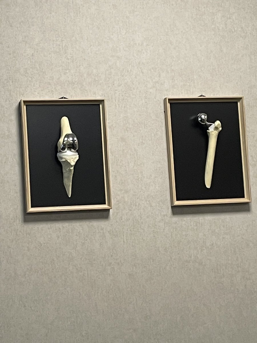 Ruth Delaney tweet media