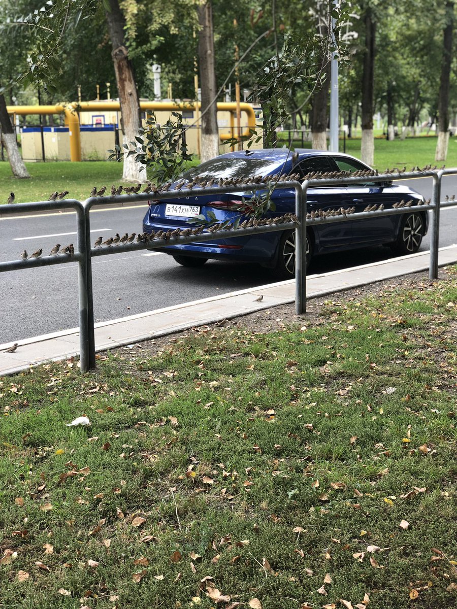 Собрание совета директоров в понедельник!☺️
