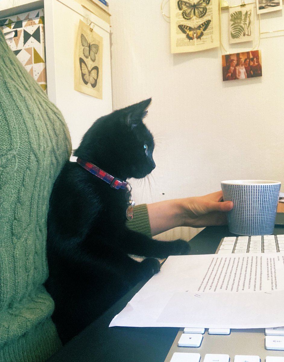 Getting ready for another Writing Gym (+friends!). Come join us at 10am and get your PhD week off to the right start