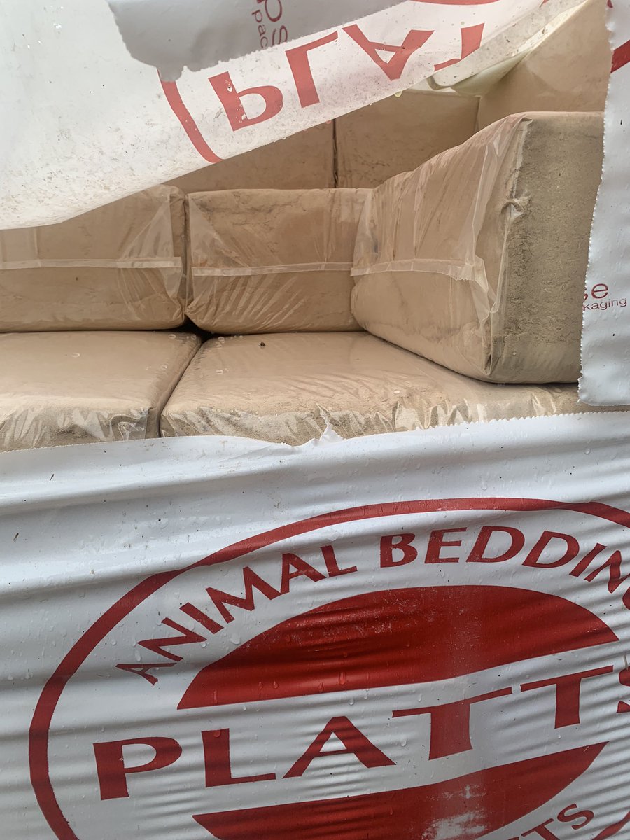 Brklydairysol's tweet photo. Even the #ladybirds 🐞 loves the @PlattsBedding as much as the #ladycows at Tintur #teamdairy sheltered from the cold and rain 🙈 https://t.co/ms4FZDiXED